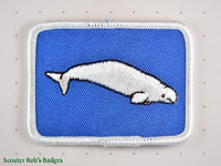 Click to enlarge Beluga